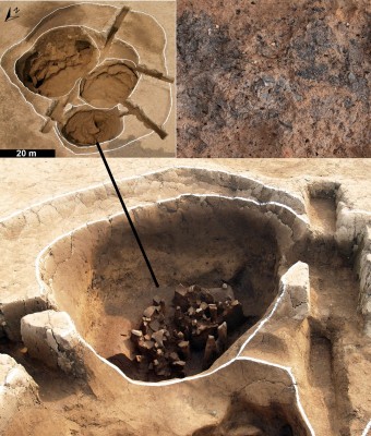 Figure 2. A cluster of Neolithic pits (upper left); charred acorn shells (upper right) were found in one of the pits filled with potsherds (lower).